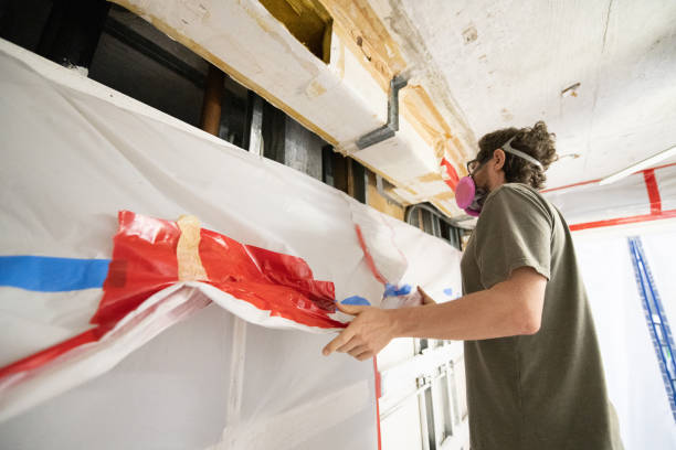 Best Real Estate Mold Inspection  in Delano, MN