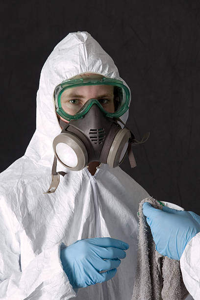 Asbestos and Lead Testing During Mold Inspection in Delano, MN